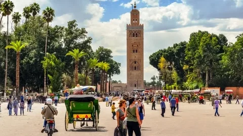 Marrakech est une destination fascinante qui combine histoire, culture et paysages spectaculaires. La ville est célèbre pour ses souks animés, ses monuments historiques et ses jardins luxuriants, offrant une expérience unique aux voyageurs. Les visiteurs peuvent explorer la médina, classée au patrimoine mondial de l'UNESCO, et admirer des sites emblématiques tels que la mosquée Koutoubia, les jardins Majorelle et le Palais Bahia. En dehors de la ville, des excursions vers des destinations comme Essaouira, les cascades d'Ouzoud ou le désert d'Agafay permettent de découvrir la beauté naturelle de la région. Marrakech est également réputée pour sa cuisine marocaine savoureuse, avec des plats traditionnels comme le tajine, le couscous et la pastilla. La ville offre un mélange envoûtant de modernité et de tradition, et sa richesse culturelle garantit une expérience inoubliable pour les voyageurs.